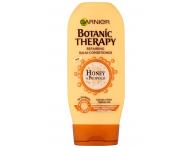 Seria do wosw zniszczonych Garnier Botanic Therapy Honey