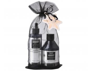 Zestaw upominkowy do wosw zniszczonych i amliwych Black Professional Argent