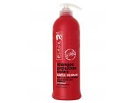 Seria do wosw farbowanych Black Color Protection