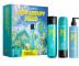 Seria zwi�kszaj�ca obj�to�� cienkich w�os�w Matrix High Amplify - zestaw upominkowy - szampon + od�ywka + spray