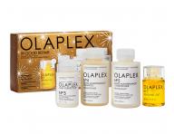 Zestaw upominkowy regeneruj�cy do w�os�w zniszczonych Olaplex In Good Repair Kit