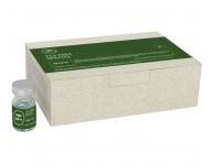 Seria od�wie�aj�ca Paul Mitchell - Tea Tree Special