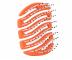 Szczotka do w�os�w Sister Young Mila Pocket Hair Brush - pomara�czowy