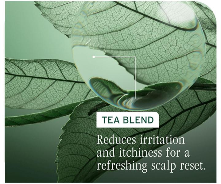 Odywka dla zdrowej skry gowy Biolage Scalp Sync Universal Conditioner