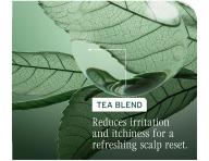 Przygotowuj�ca piel�gnacja oczyszczaj�ca do wszystkich rodzaj�w sk�ry g�owy Biolage Scalp Sync Purifying Scalp Concentrate - 200