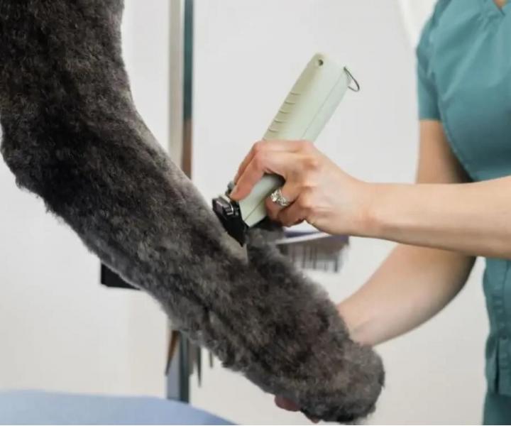 Profesjonalna maszynka do sier�ci zwierz�t Wahl Professional KMC+ Cord/Cordless Clipper - mi�towo-zielona