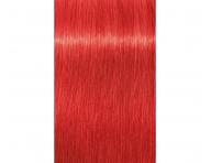 Farba do wosw Schwarzkopf Professional Igora Royal 60 ml - 0-88 czerwony koncentrat