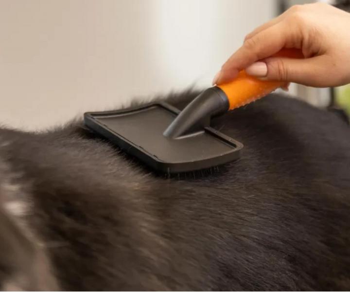 P�aska szczotka do rozczesywania sier�ci zwierz�t Wahl Slicker Brush Large 58424 - pomara�czowa