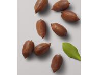 Zuszczajcy peeling do skry gowy Kerasilk Exfoliating Scalp Pre-Wash - 250 ml