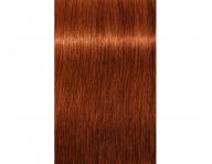 Farba do wosw Schwarzkopf Professional Igora Royal 60 ml - 6-77 ciemny blond miedziany ekstra