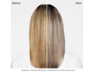 Od�ywka koloryzuj�ca Biolage Color Balm - Earl Grey - 250 ml