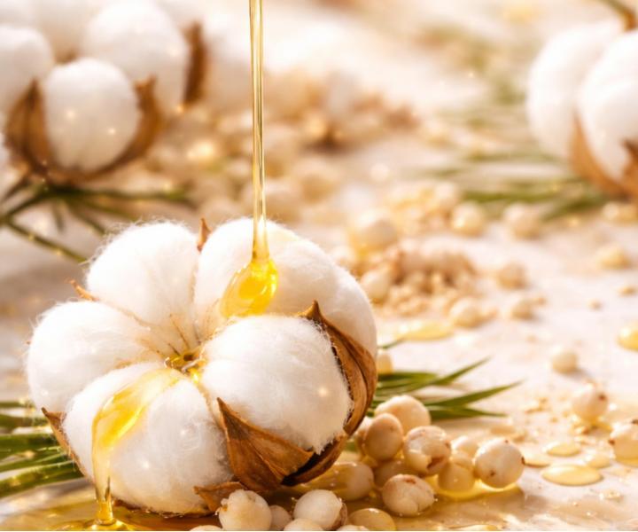 Szampon do w�os�w suchych, zm�czonych i obci��onych Kl�ral System Retinoil Purifying Preparing Shampoo - 300 ml