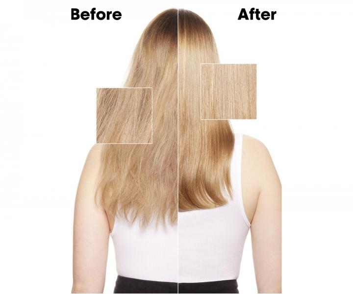 Seria do w�os�w suchych i zniszczonych L�Or�al Professionnel Serie Expert Absolut Repair