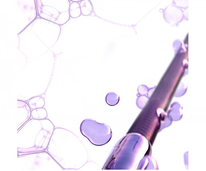 Seria produktw nawilajcych Loral Elseve Hyaluron Plump