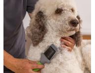 Dwustronna szczotka do wyczesywania sier�ci Wahl Premium Slicker Brush