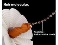 Seria do wosw zniszczonych Loral Professionnel Serie Expert Absolut Repair Molecular