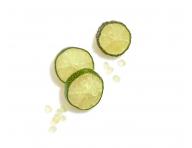 Szampon do wosw farbowanych Wella Professionals Invigo Color Brilliance Coarse - 1000 ml