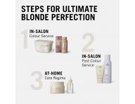 Rozja�niacz w proszku Schwarzkopf Professional BlondMe Premium Lightener 9+ - 450 g