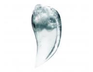 Produkty do pielgnacji skry gowy Loral Professionnel Scalp Advanced