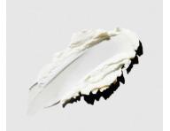 Seria odwieajca Paul Mitchell - Tea Tree Special