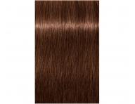 Farba do wosw Schwarzkopf Professional Igora Royal 60 ml - 6-68 ciemny blond czekoladowo czerwony