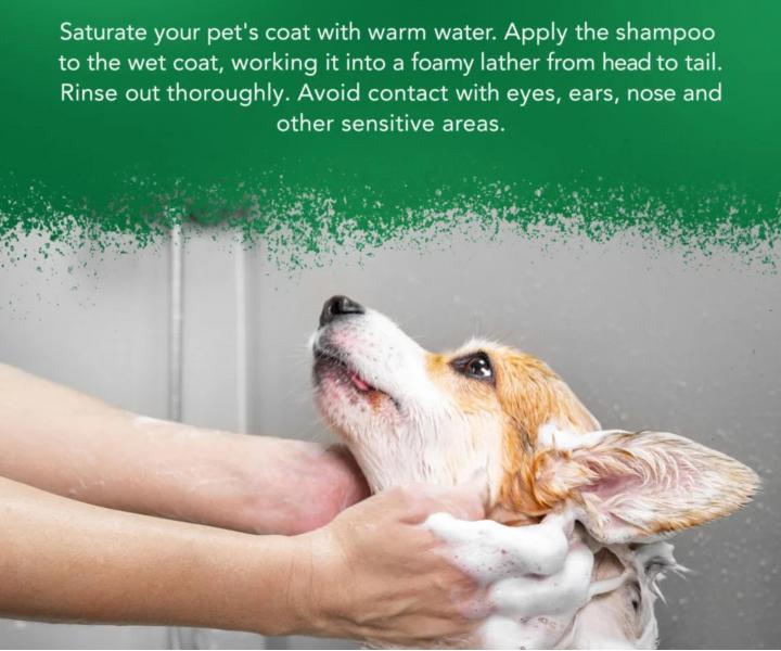 Szampon koj�cy do wra�liwej sk�ry zwierz�t Wahl Professional Animal Shampoo Aloe Soothe - 500 ml - koncentrat