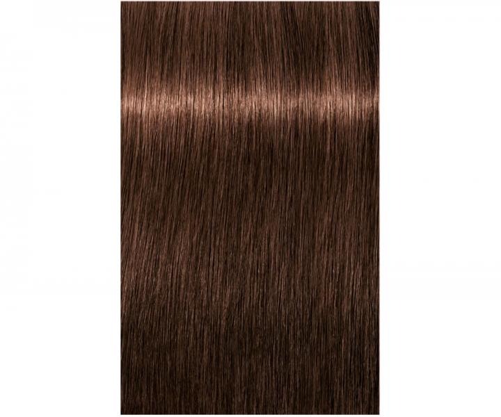 Farba do wosw Schwarzkopf Professional Igora Royal 60 ml - 5-6 jasny brz czekoladowy