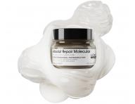 Maska do wosw zniszczonych Loral Professionnel Serie Expert Absolut Repair Molecular - 250 ml