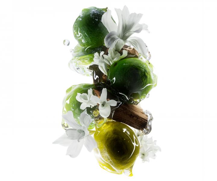 Seria do wosw farbowanych i zniszczonych LOral Professionnel Serie Expert Metal Detox