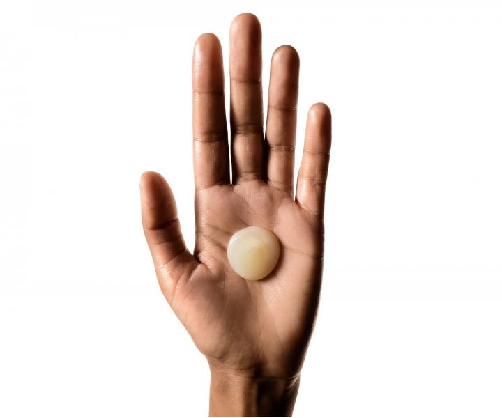 Szampon do wosw suchych i zniszczonych Loral Professionnel Serie Expert Absolut Repair - 500 ml, zapas