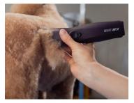 Profesjonalna maszynka do sier�ci Wahl Professional KM Supera Cordless Animal Clipper 1263-0471