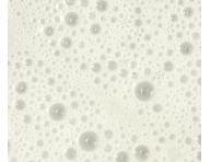 Szampon przeciw przerzedzaniu si wosw Paul Mitchell Tea Tree Scalp Care Regeniplex Shampoo - 300 ml