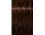 Farba do wosw Schwarzkopf Professional Igora Royal 60 ml - 4-68 redni brz czekoladowo czerwony