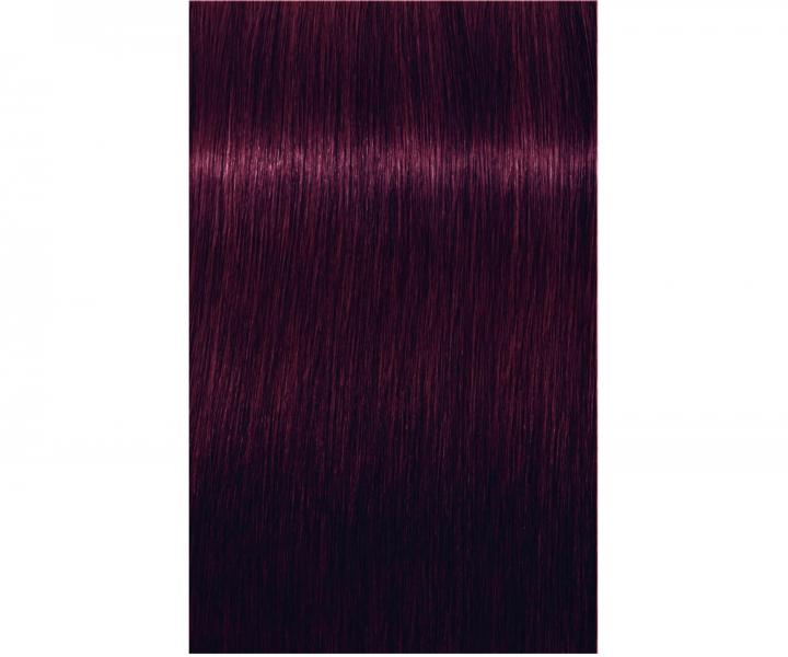 Farba do wosw Schwarzkopf Professional Igora Royal 60 ml - 5-99 jasny brz fioletowy ekstra