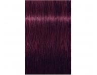 Farba do wosw Schwarzkopf Professional Igora Royal 60 ml - 6-99 ciemny blond fioletowy ekstra