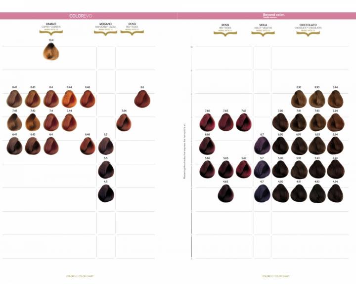 Farba do w�os�w Selective Professional ColorEvo Beyond Color 100 ml - 3.0 ciemny br�z