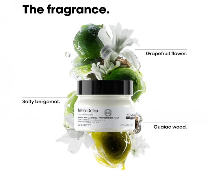 Maska do wosw farbowanych i zniszczonych Loral Professionnel Serie Expert Metal Detox - 250 ml