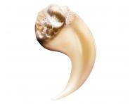 Szampon do wosw suchych i zniszczonych Loral Professionnel Serie Expert Absolut Repair - 500 ml, zapas