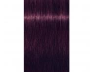 Farba do wosw Schwarzkopf Professional Igora Royal 60 ml - 0-99 fioletowy koncentrat