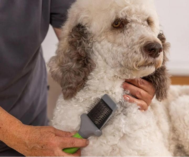 Dwustronna szczotka do wyczesywania sier�ci Wahl Premium Slicker Brush