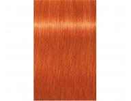 Farba do wosw Schwarzkopf Professional Igora Royal 60 ml - 0-77 miedziany koncentrat