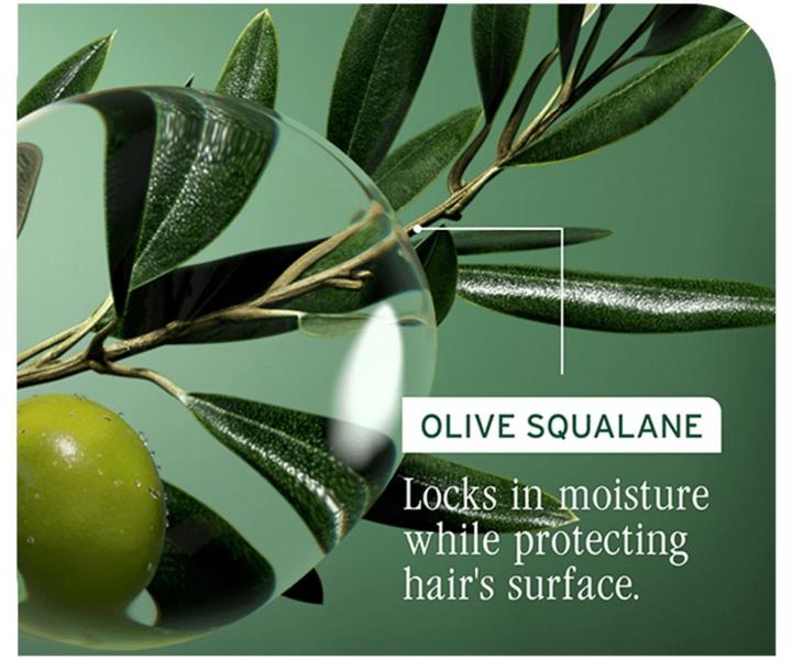 Spray odbudowujcy do wosw zniszczonych Biolage Strength Recovery Repairing Spray - 250 ml