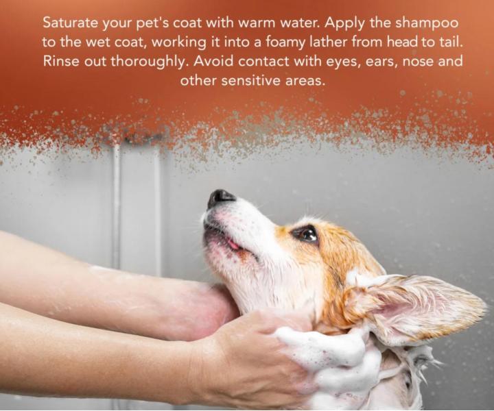 Szampon oczyszczaj�cy do mocno zabrudzonej sier�ci zwierz�t Wahl Professional Animal Shampoo Dirty Beastie - 500 ml - koncentrat