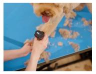 Profesjonalna maszynka do sier�ci Wahl Professional KM Supera Cordless Animal Clipper 1263-0471