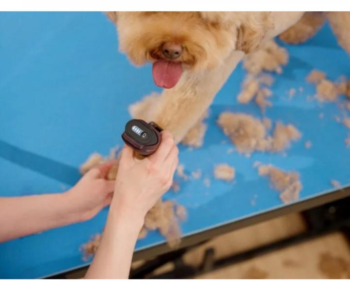 Profesjonalna maszynka do sier�ci Wahl Professional KM Supera Cordless Animal Clipper 1263-0471