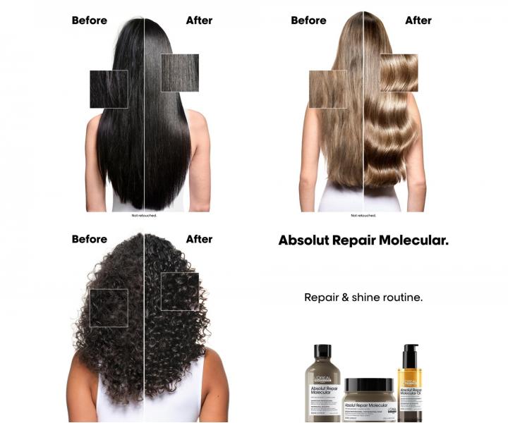 Seria do wosw zniszczonych Loral Professionnel Serie Expert Absolut Repair Molecular