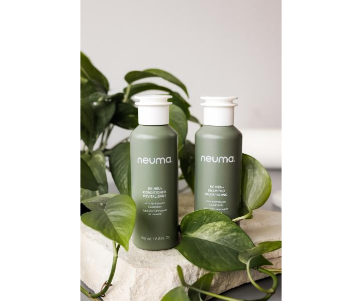 Odywka odwieajco-wygadzajca do wosw Neuma Re Neu Conditioner - 250 ml