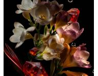 Revitalizuj�ca nawil�aj�ca maska do starzej�cych si� w�os�w K�rastase Chronologiste Masque Intense R�g�n�rant - 200 ml