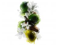 Seria do w�os�w farbowanych i zniszczonych L�Or�al Professionnel Serie Expert Metal Detox