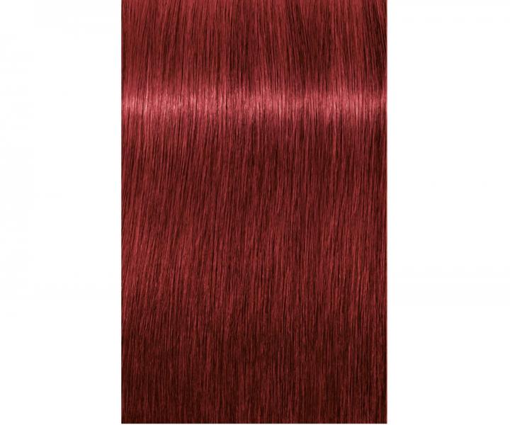 Farba do wosw Schwarzkopf Professional Igora Royal 60 ml - 6-88 ciemny blond czerwony ekstra